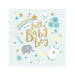 a Baby Boy Card